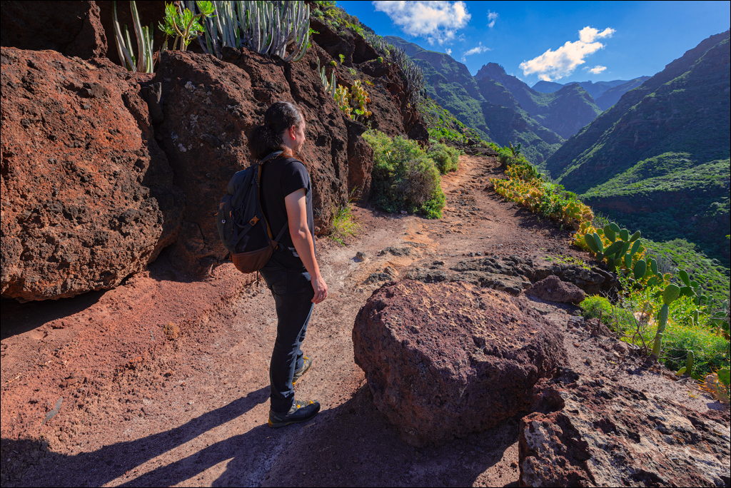 PuntaDelHidalgo 07jan2023 108