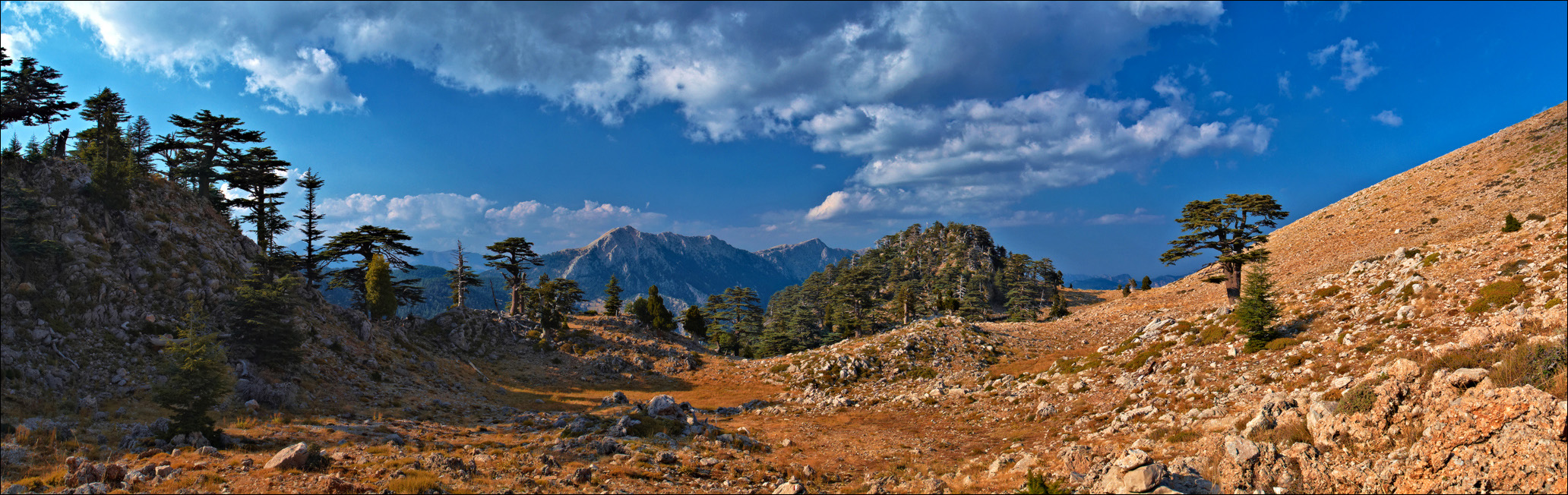 203 LND3391 c1 Panorama