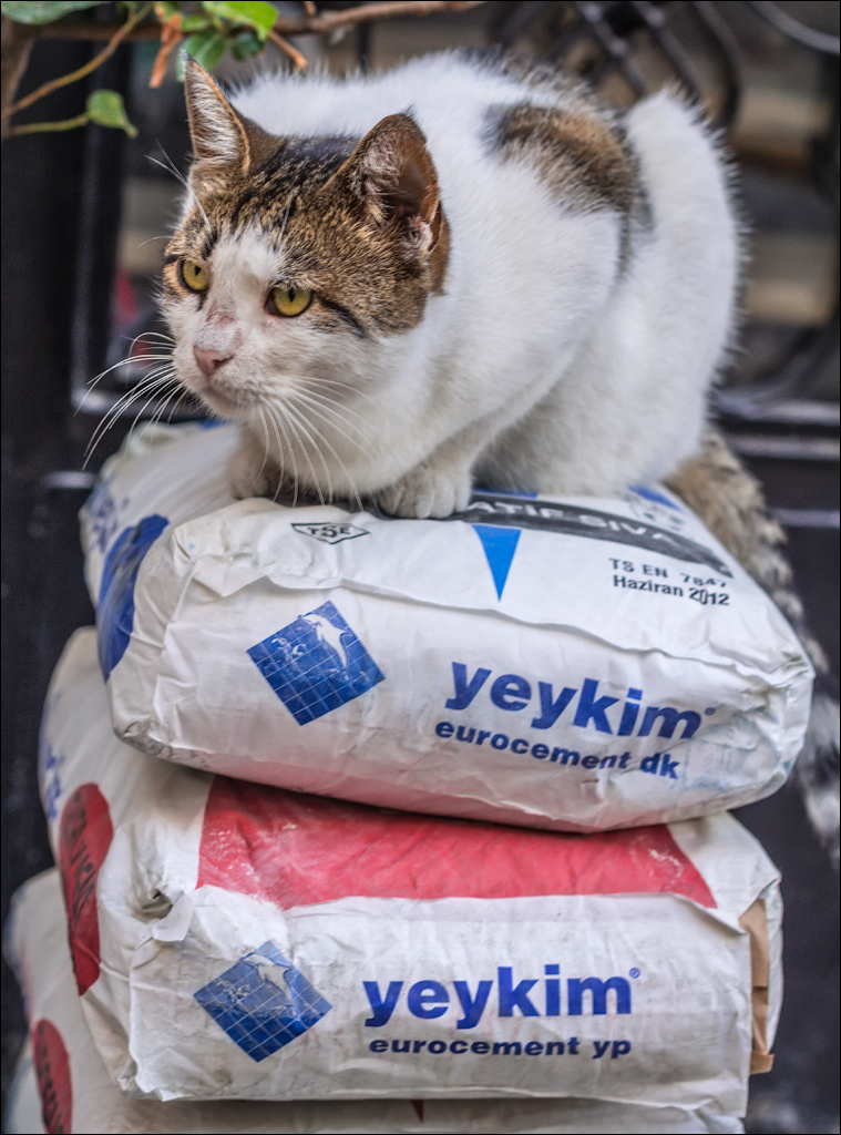 Istanbul 2015 20150815060