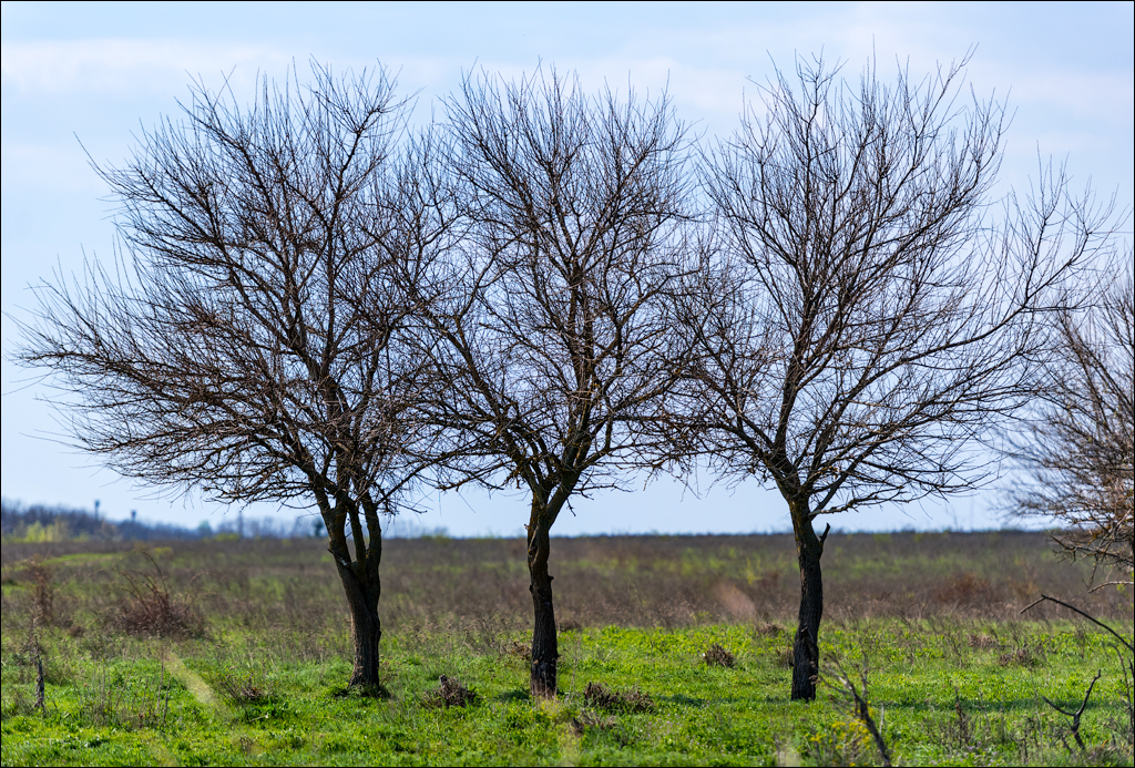 Aktov Canyon 20190420038