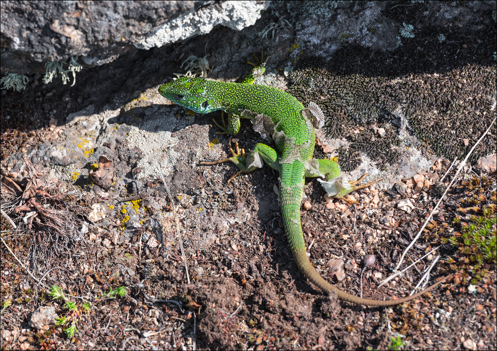 Aktov Canyon 20190420085