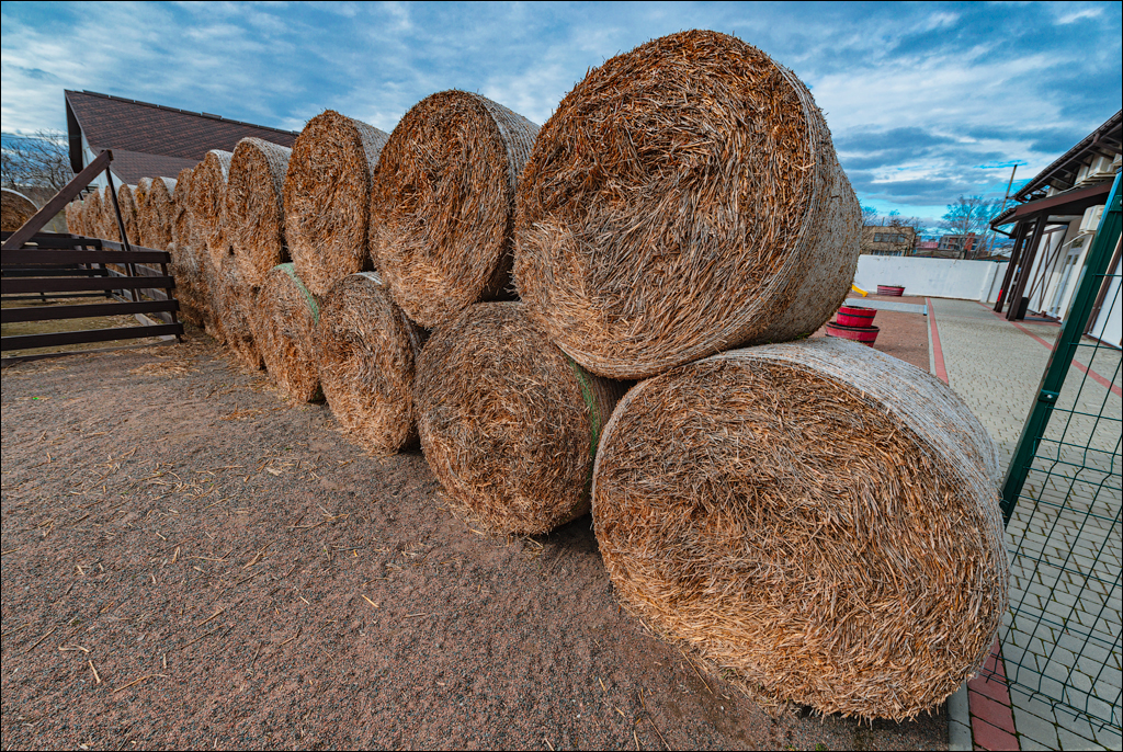 Belgorod Shabo 13feb2022 155