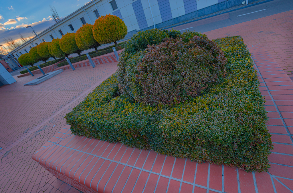 Belgorod Shabo 13feb2022 204