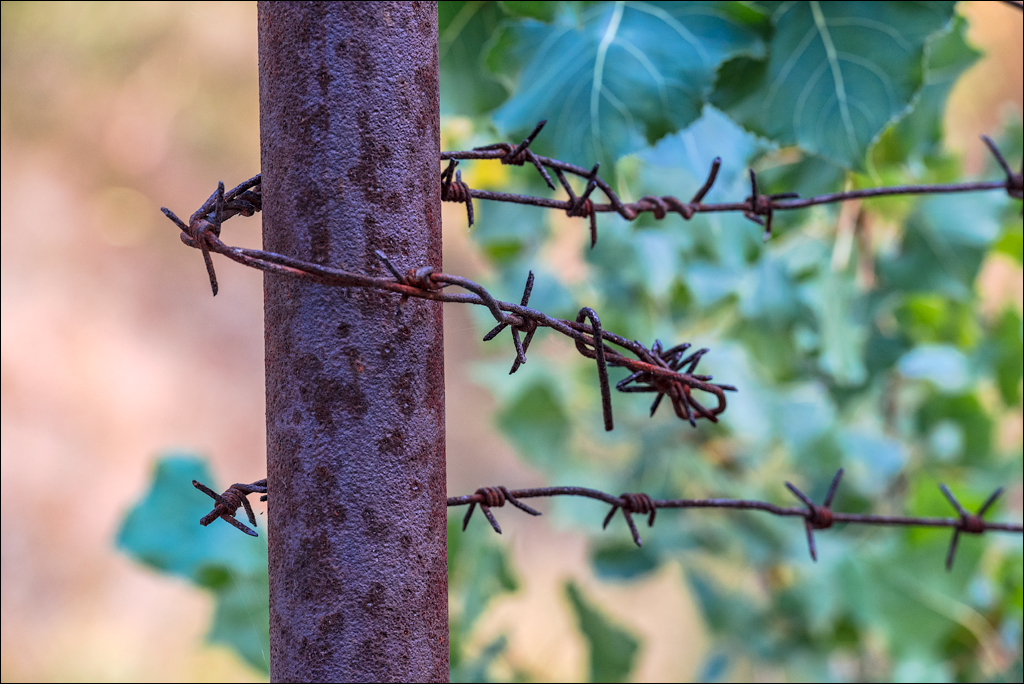 PripyatChernobyl Jun2018 036