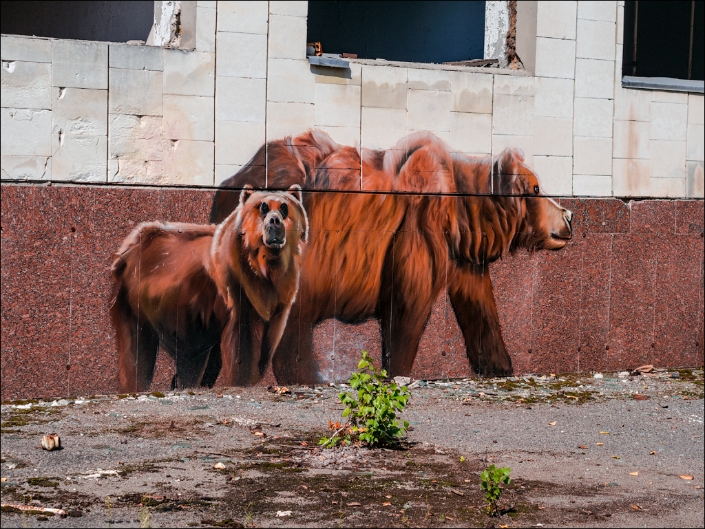PripyatChernobyl Jun2018 150