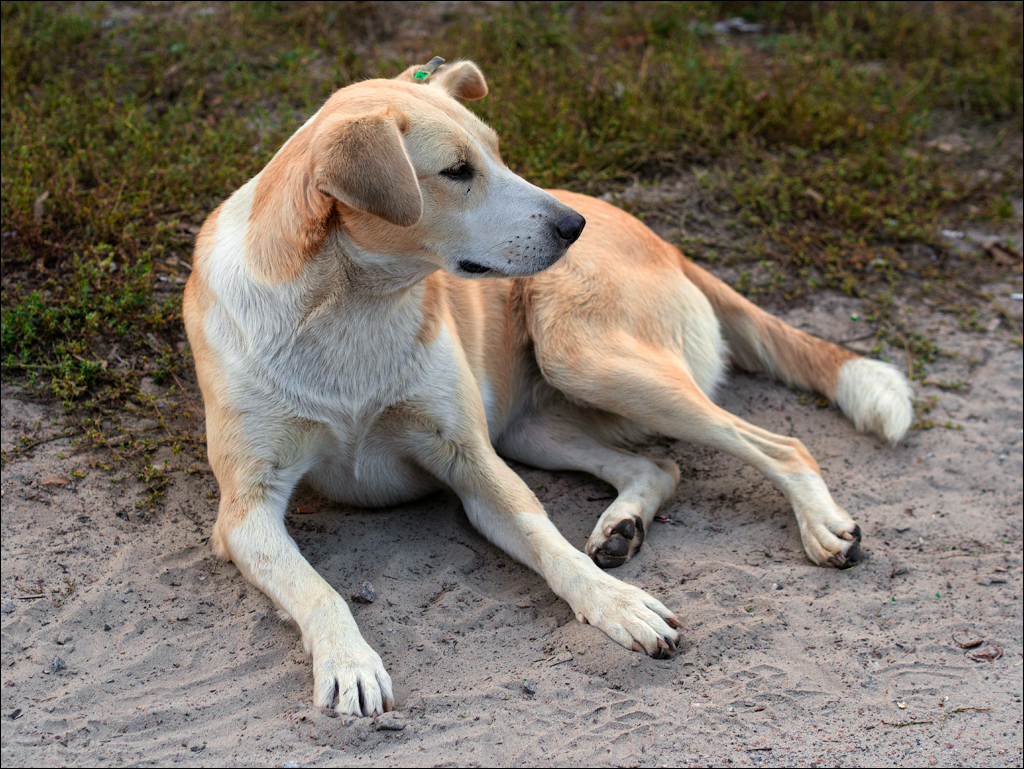 PripyatChernobyl Jun2018 221