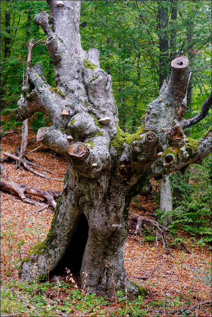 Crimea 201220170305388