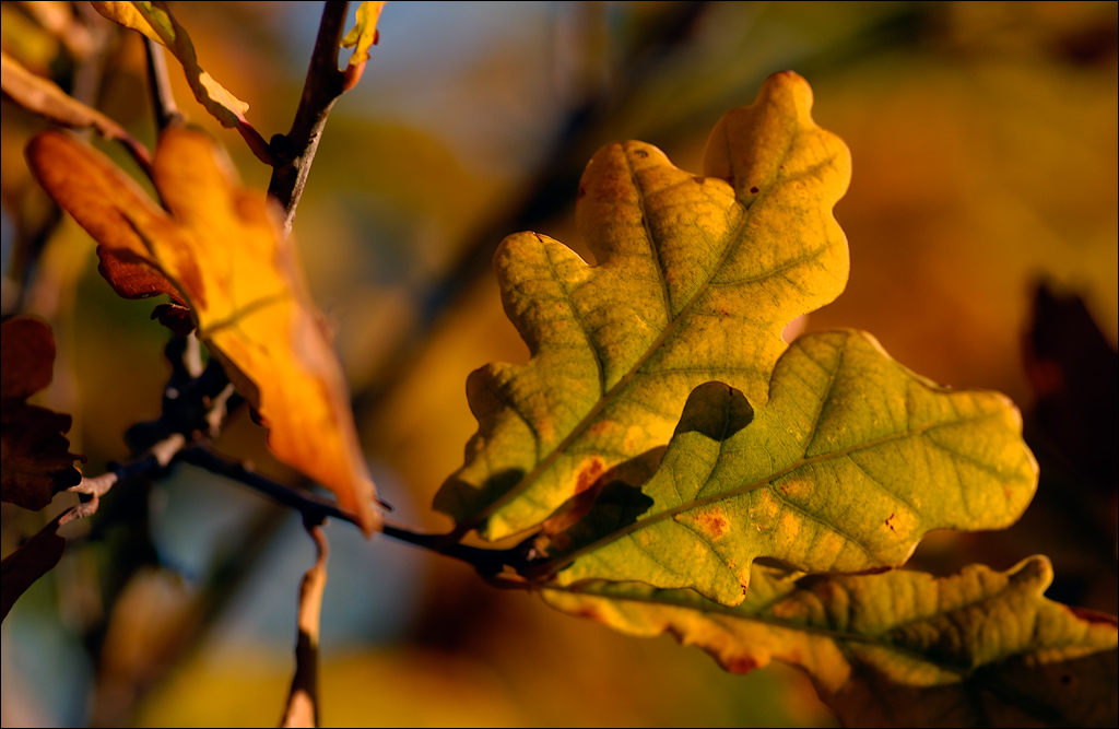 Crimea 201220170305426