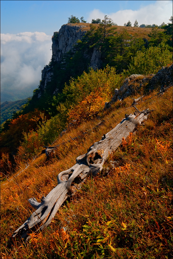 Crimea 201220170305442