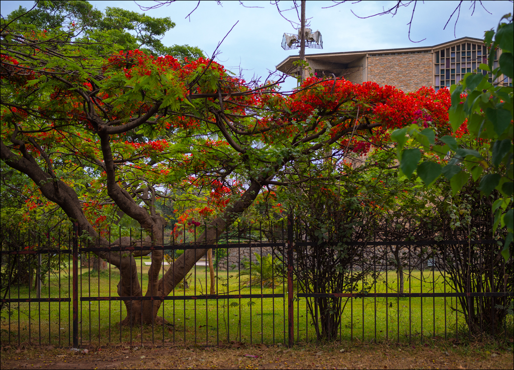 Zambia sep2014 P1 151