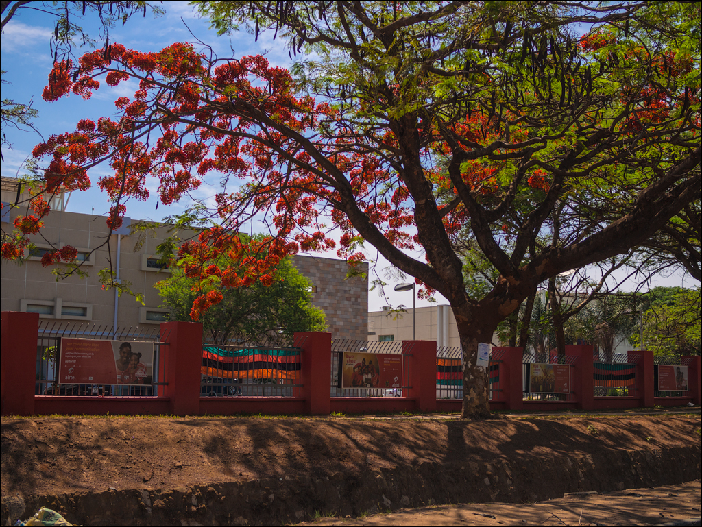 Zambia sep2014 P2 003