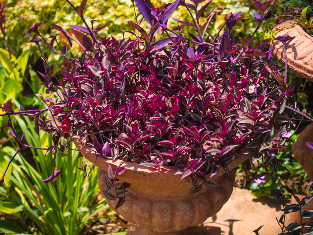 Zambia sep2014 P2 029