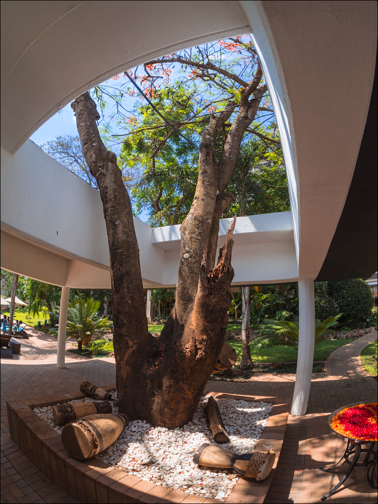 Zambia sep2014 P2 036