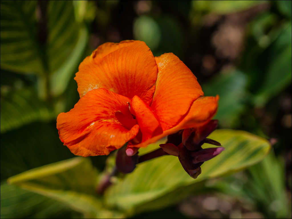 Zambia sep2014 P2 051