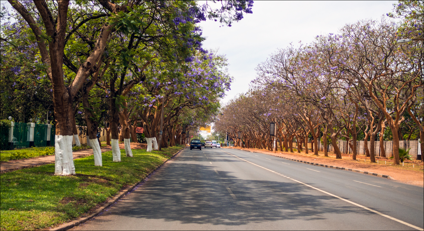 Zambia sep2014 P2 063