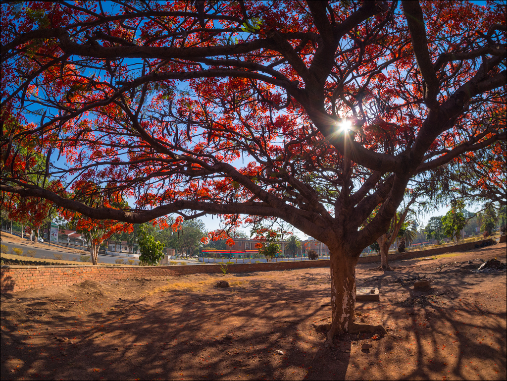 Zambia sep2014 P2 134