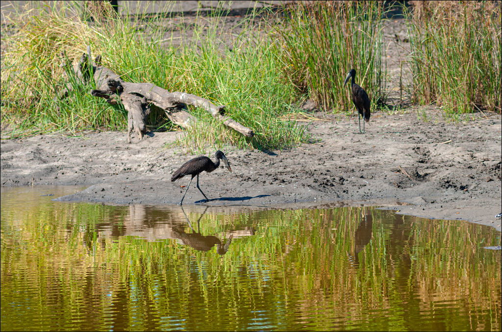 Zambia 20080419 20 116