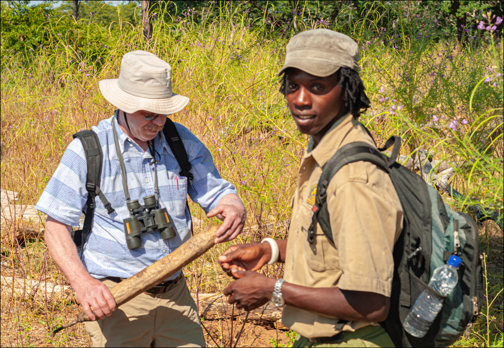 Zambia 20080419 20 127