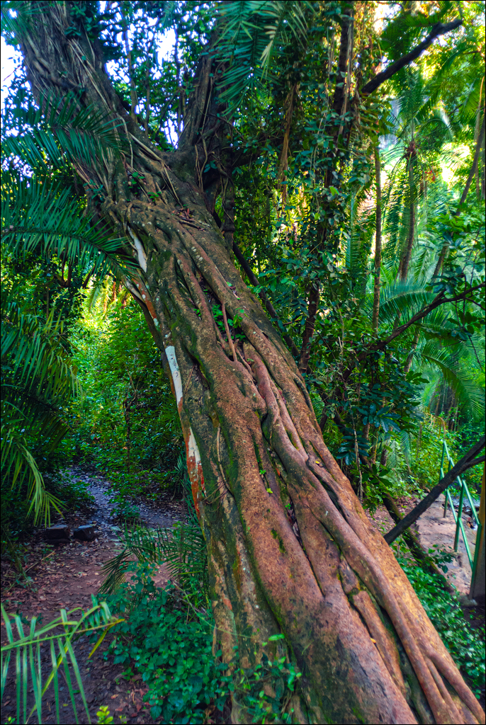 Zambia 20080419 20 196