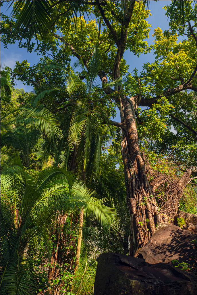 Zambia 20080419 20 199