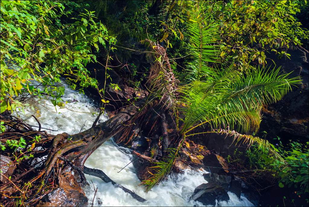 Zambia 20080419 20 205