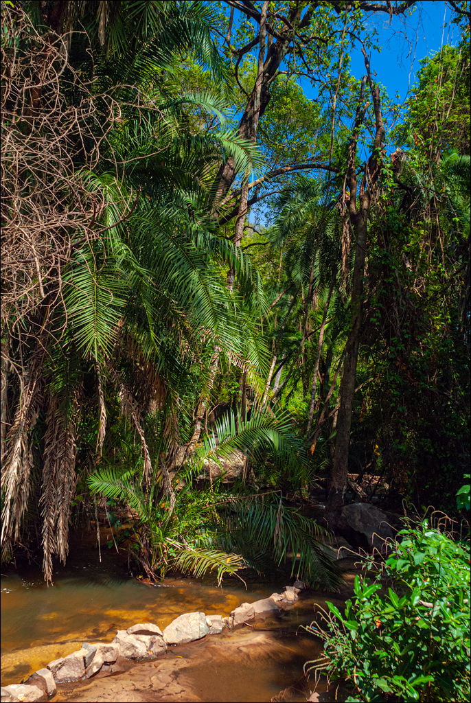 Zambia 20080419 20 208