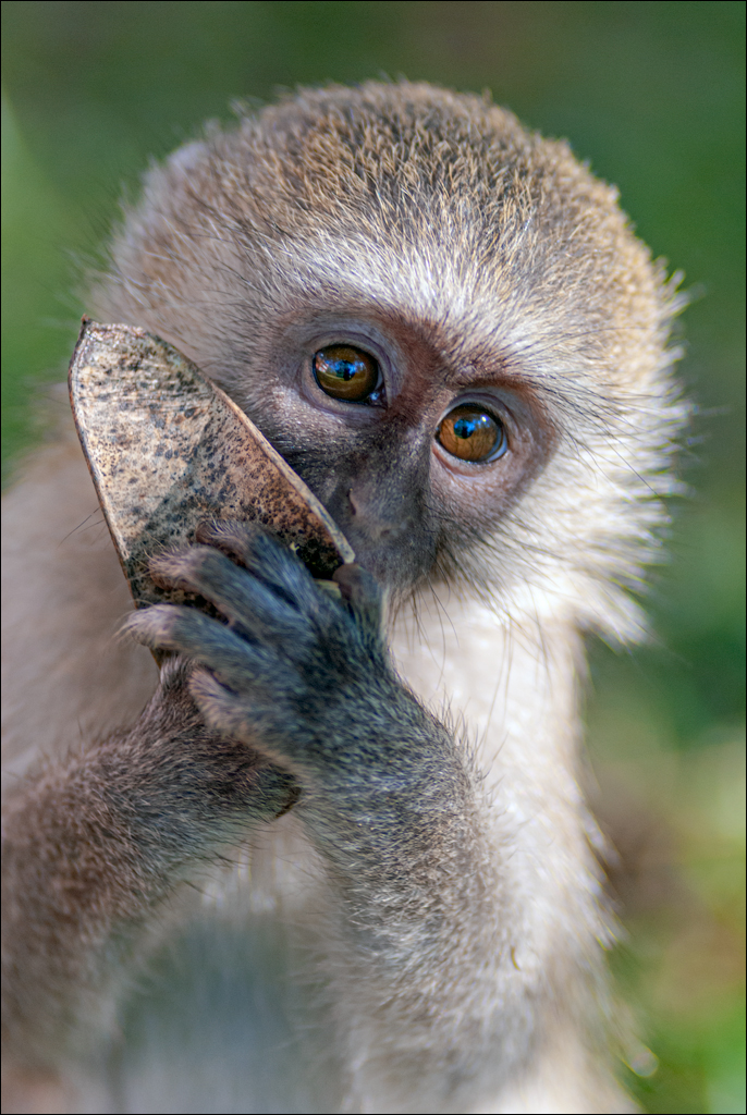 Zambia 20080419 20 227