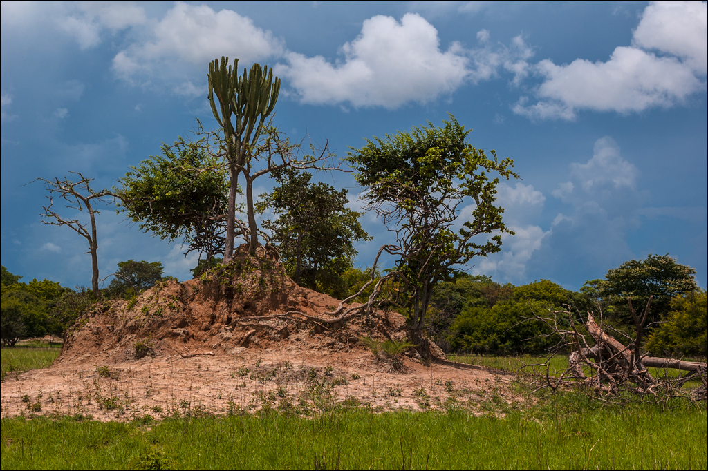 Zambia Chaminuka dec2006 135