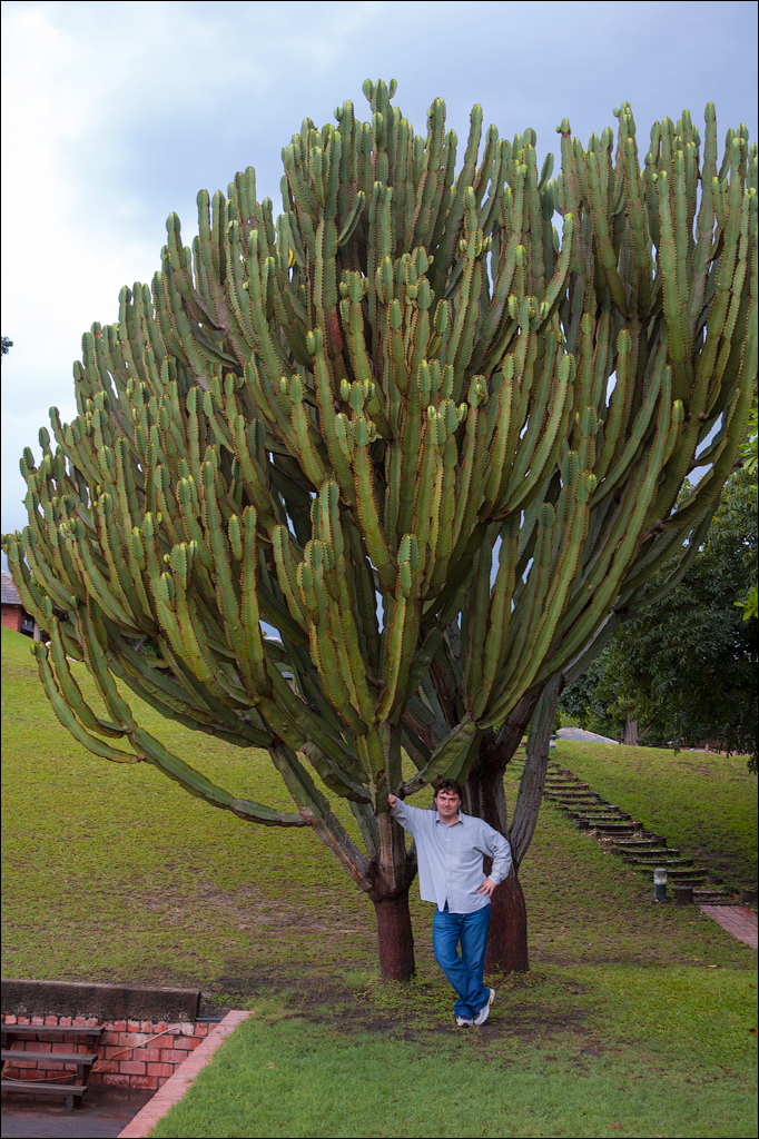 Zambia Chaminuka dec2006 153